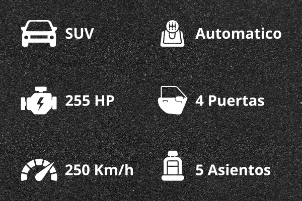 FICHA TENCINCA DE AUTOS RENTAL CAR DUBAI PARA TURISTAS